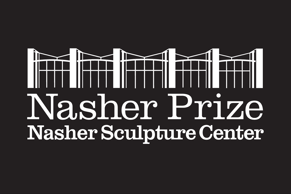 NP_logo___540x360 nsc banner